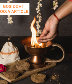 Pooja Article