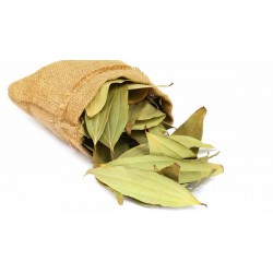 Indian Bay Leaves