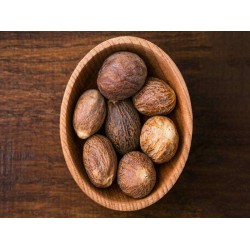 Indian Nutmeg / Powder 